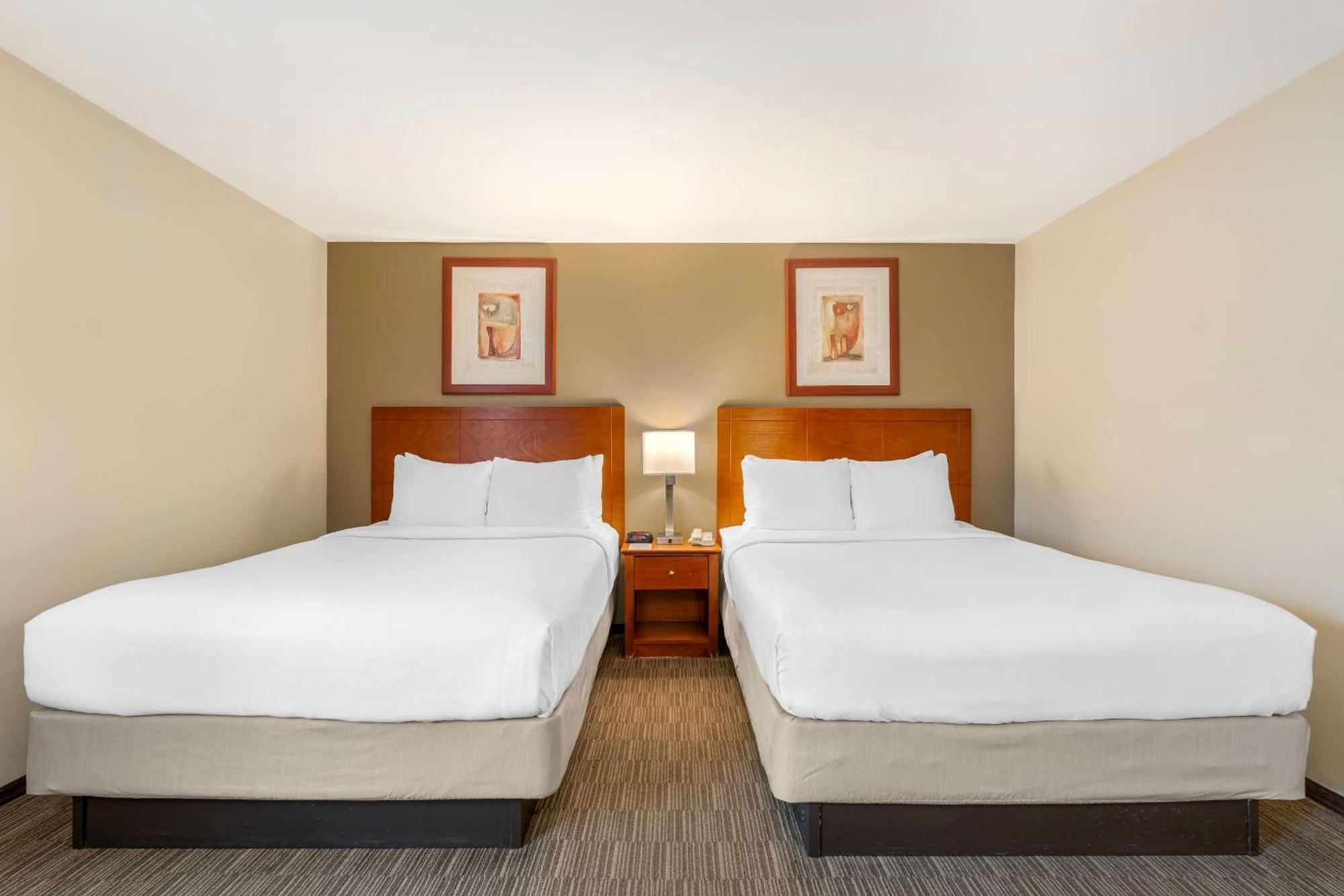 Comfort Inn Cockatoo Near Lax Airport Hawthorne Ngoại thất bức ảnh